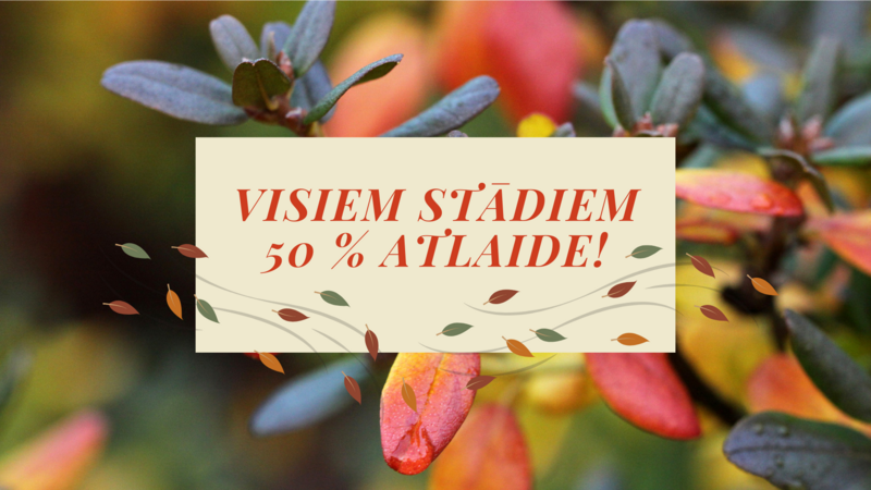 Puscena visiem stādiem!